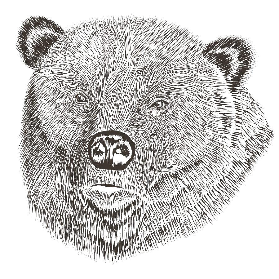 Creative black and white profile picture of a bear head PNG