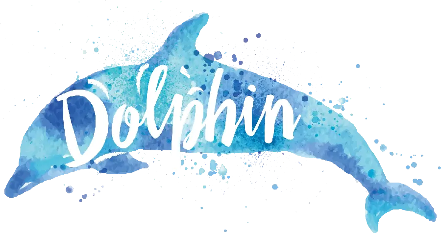 Dolphin PNG Images for Design