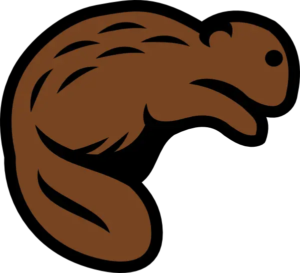 Beaver