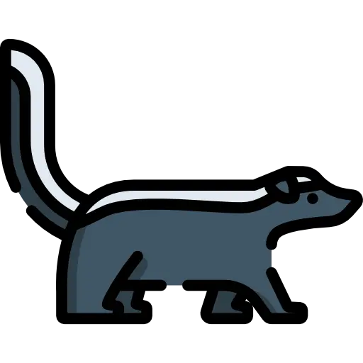 High Quality Weasel Photo for PNG Profile