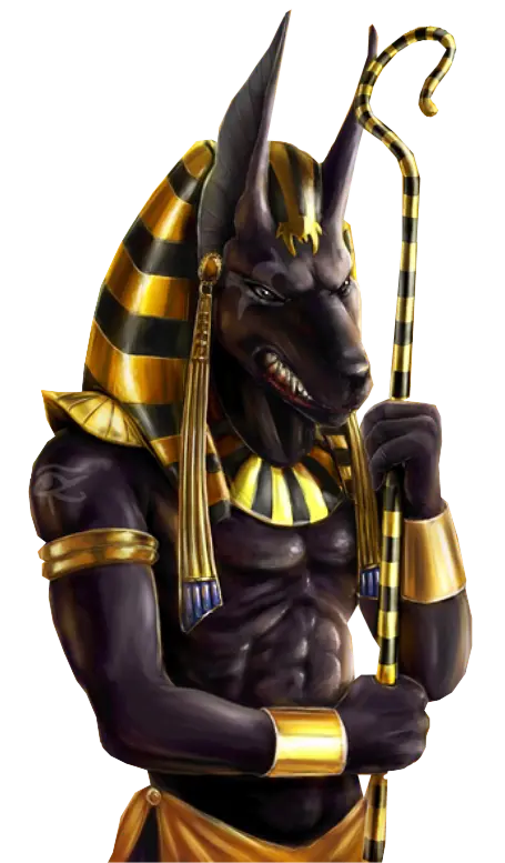 Download special quality background with a design inspired by the jackal animal PNG