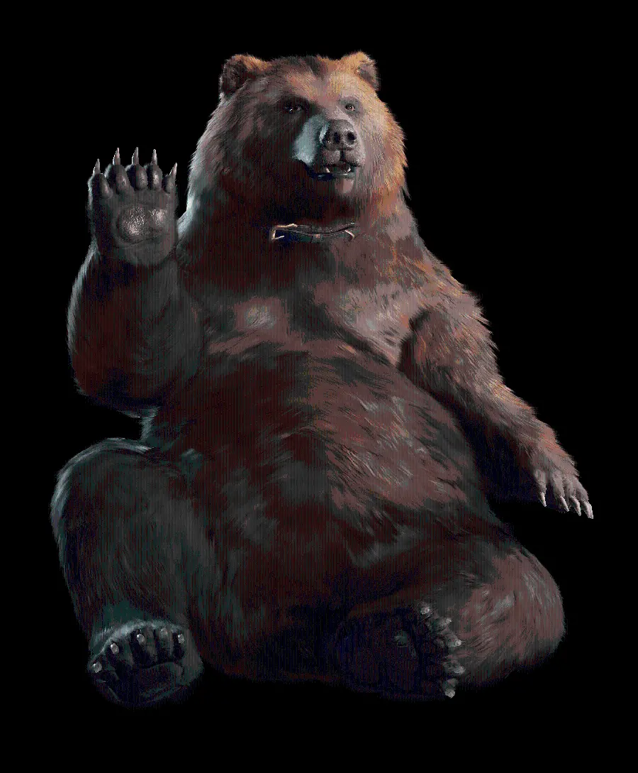 Stock image of a bear without a background for designers PNG