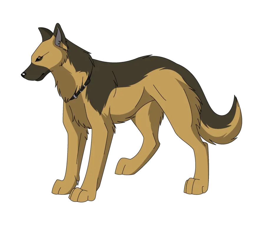 The most attractive cartoon picture of a jackal with various uses PNG