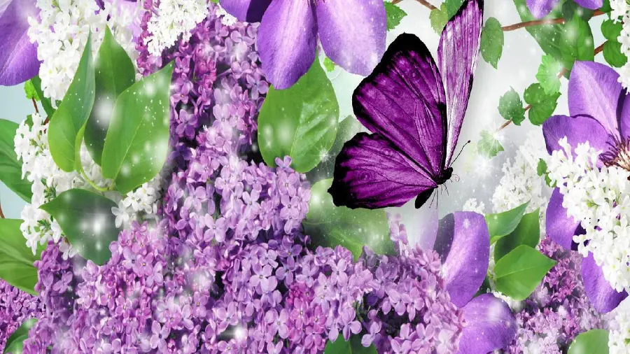 Happy and Relaxing Wallpaper of Purple Butterfly in the Free Nature