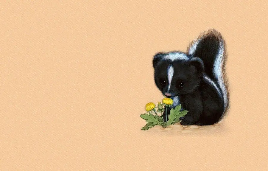 Download quality photo of skunk or American mink for profile
