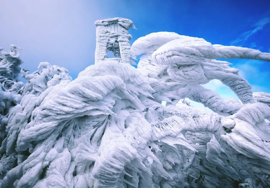 Ice sculpture