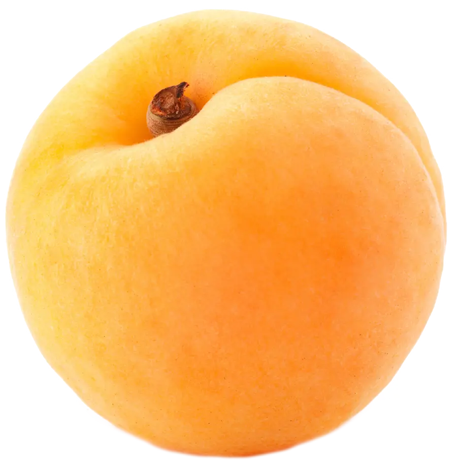 High Quality Apricot PNG Images for Advertising Design