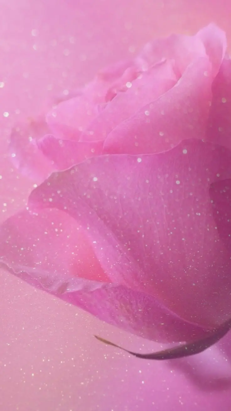 Shiny Pink Wallpaper For Smartphone
