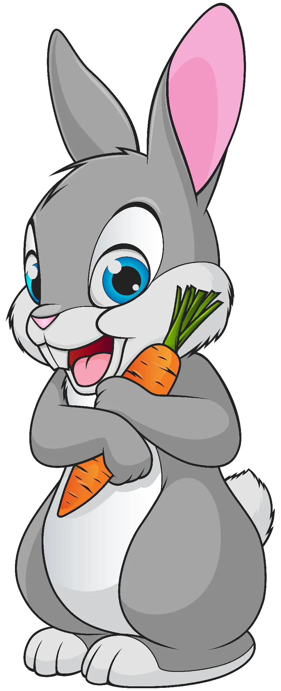 Cartoon Rabbit WhatsApp for Use in Video Games PNG