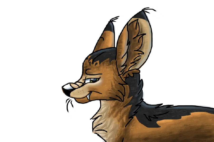 Awesome Jackal Background Image PNG with Direct Download Link
