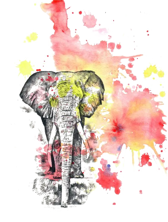 Blue and Pink Cartoon Elephant for Digital Designs