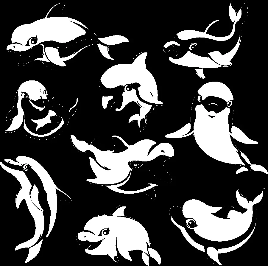 Dolphin PNG images for graphic work