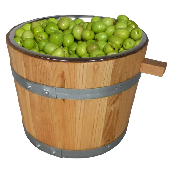 Olives in PNG format and downloaded transparency