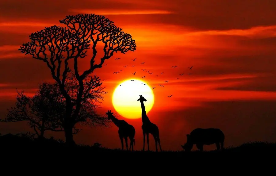 Download photos of the magnificent sunrise and its amazing colors 