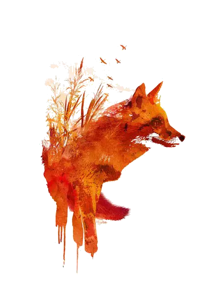Amazing photo of a painting High quality fox 