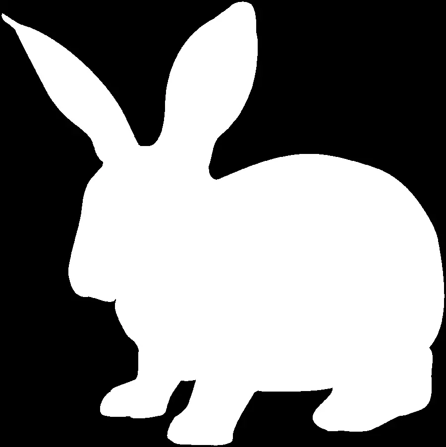 Rabbit Drawing Background Image for PNG Profile