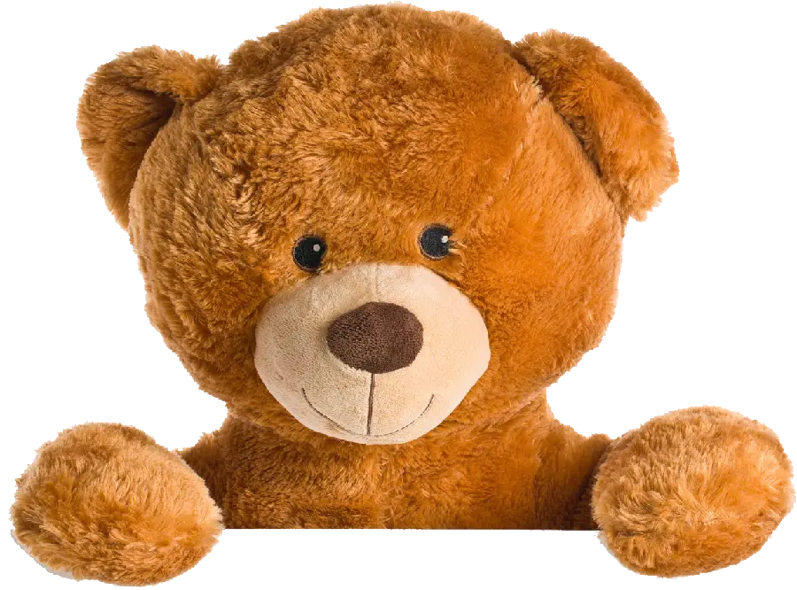 Stock Teddy Bear PNG Image for Children's Logo Design