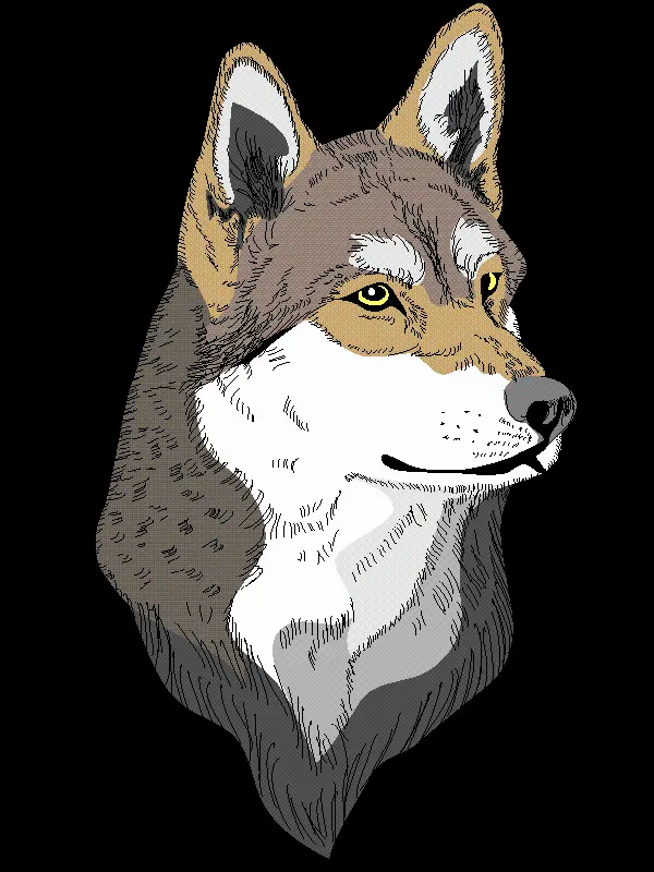 Special and attractive profile photo with a teleported jackal design PNG