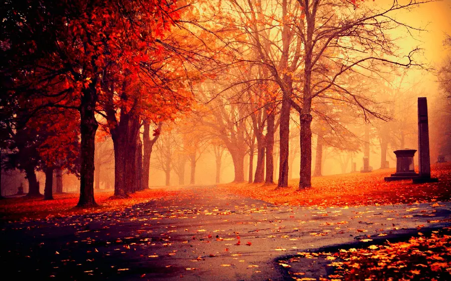 Autumn