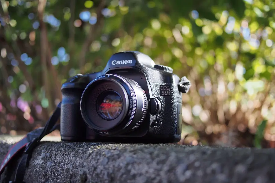 Download Modern and Stylish Camera Profile Picture