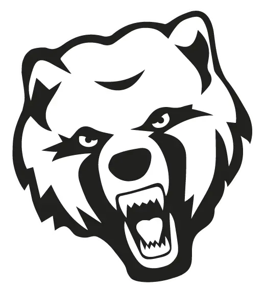 Angry and Angry Bear Drawing Background PNG