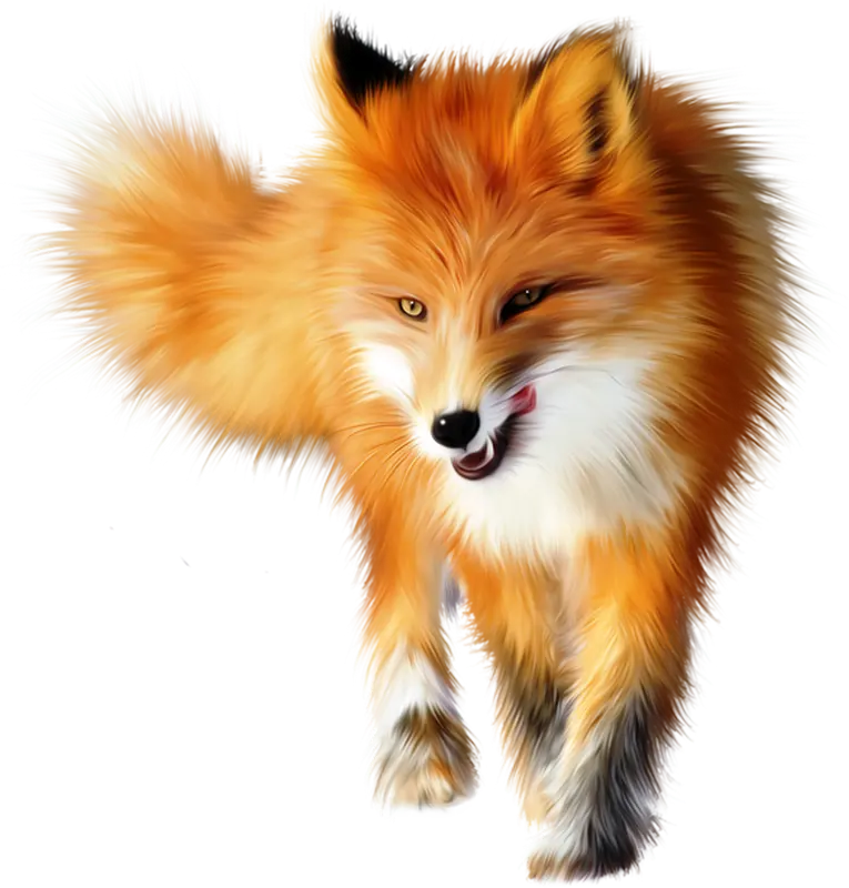 Download wallpaper without a background of a real fox PNG