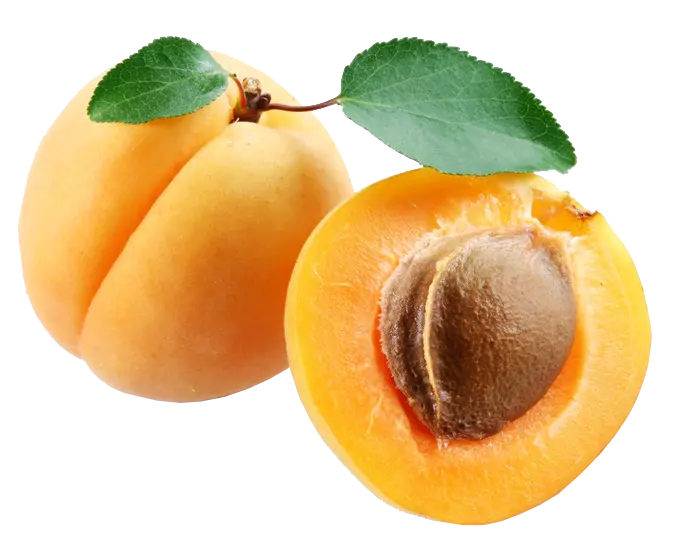 Yellow Plum Free Background Image Download