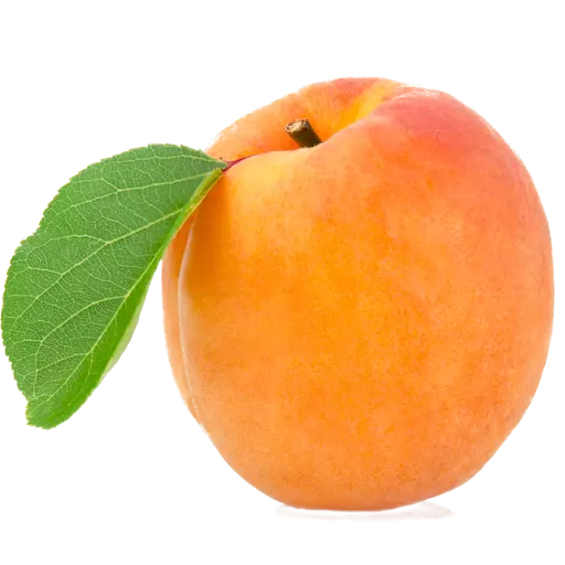 Free download of Apricot PNG images for design