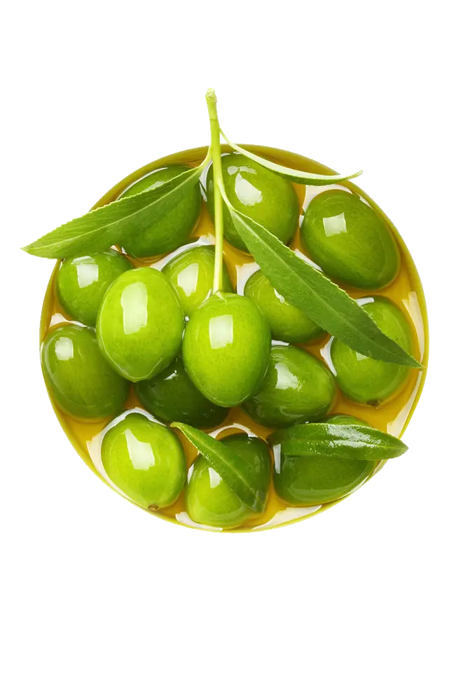 Olive Cut Off