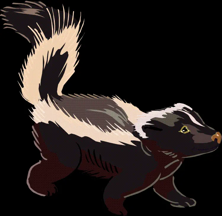 Download profile picture for virtual networks of a stinky weasel PNG