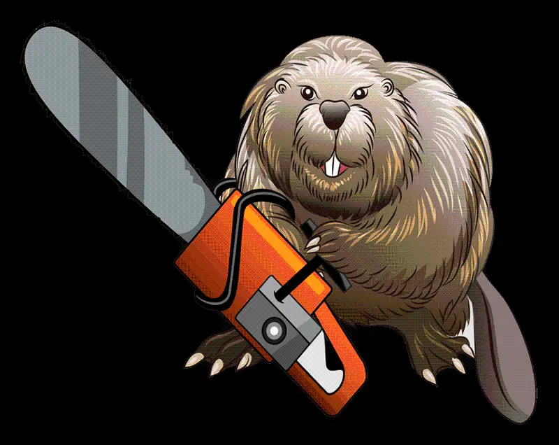 Beaver
