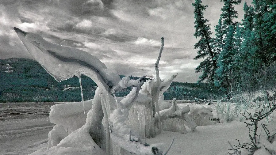 Ice Sculpture