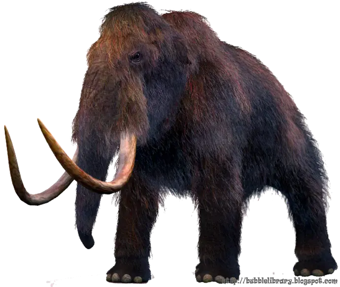 Real Giant Cut Out Real Mammoth PNG
