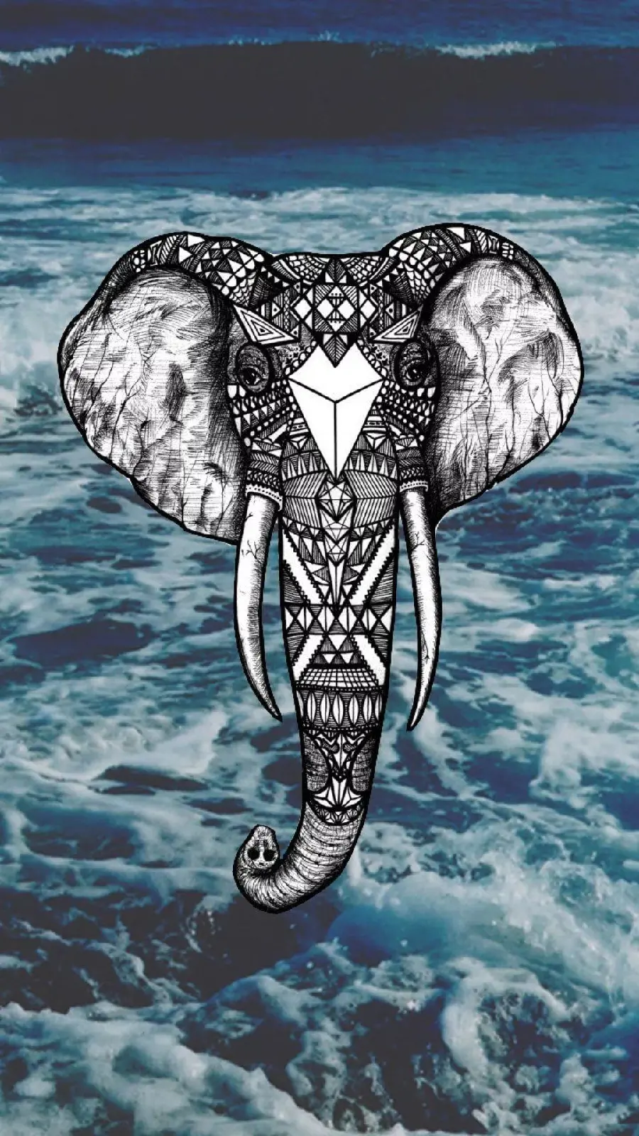 A special picture of an elephant's head for special people with quality