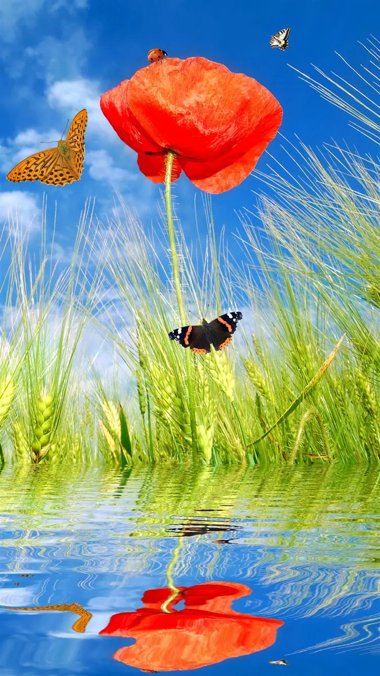 Wallpaper of Butterflies Around the Pond for iPhone Background