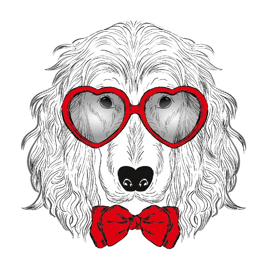 High quality photo of black and white dog drawing for profile PNG