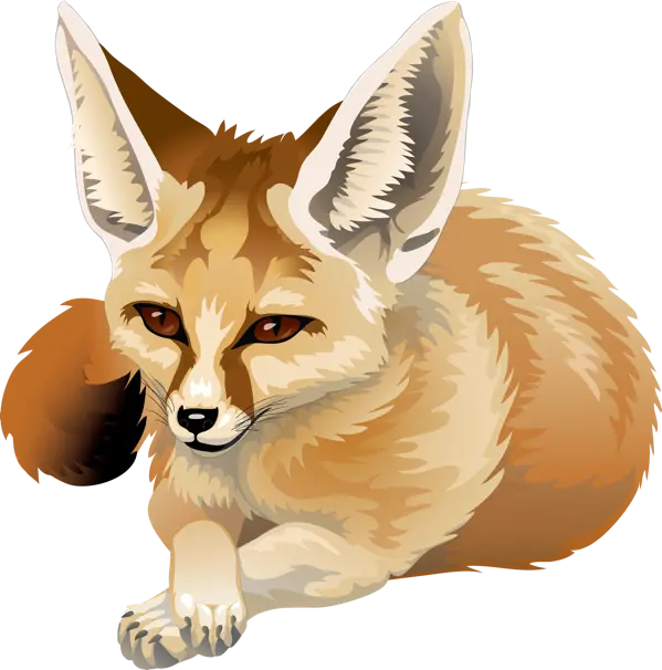 Interesting and spectacular profile photo of real fox PNG