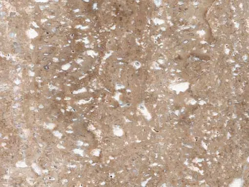 Takht-e-Kamand Walnut Travertine, Isfahan
