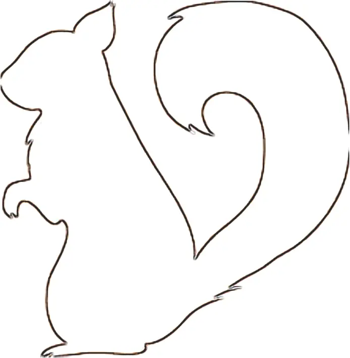 Download a picture of a squirrel for easy and beautiful drawing