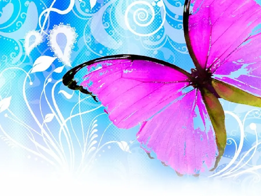 Beautiful Background for Laptop with Purple Butterfly in HD Quality