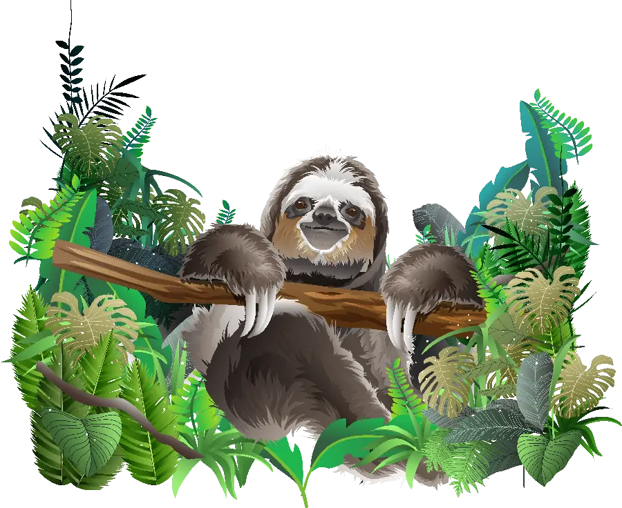 Download high-quality PNG background image of a harmless lazy animal