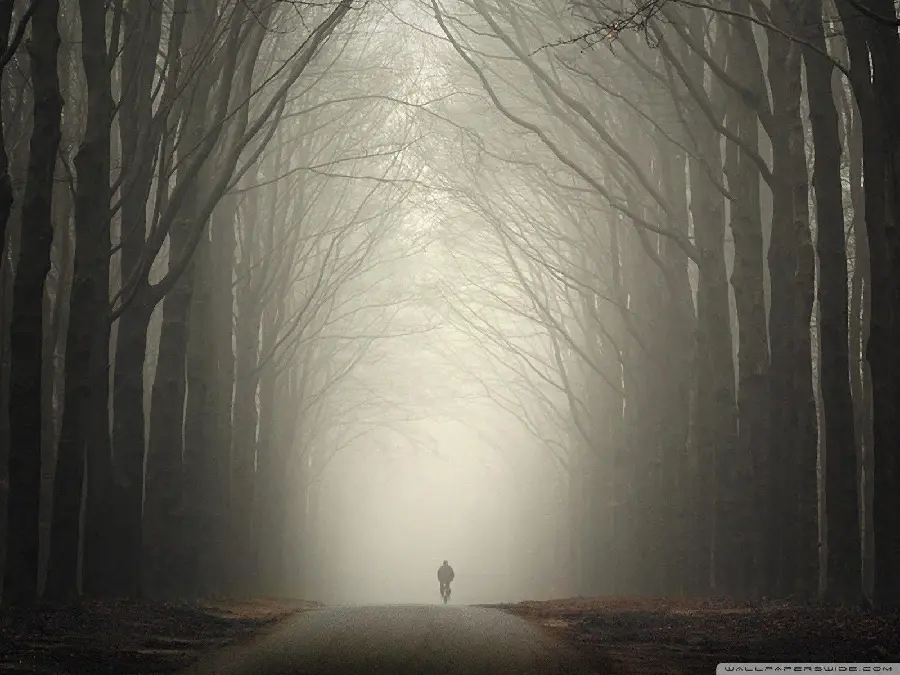 Photos with wipe of scary forests and deserted roads