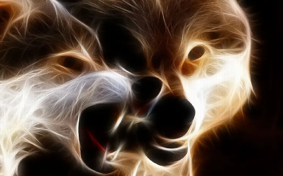 The Most Secretive Digital Stock Image of a Dog for Desktop 