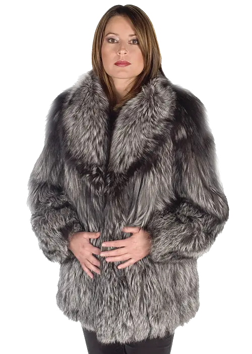 Download Coat Stock Photo Fox with direct download link 
