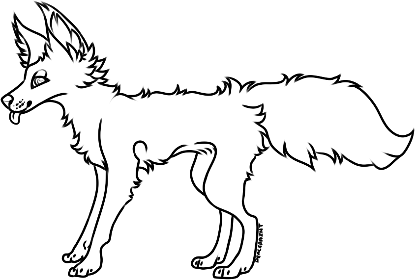 Jackal Background Image PNG for Coloring with Direct Link