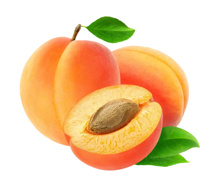 Download Free Background Image Yellow Plum