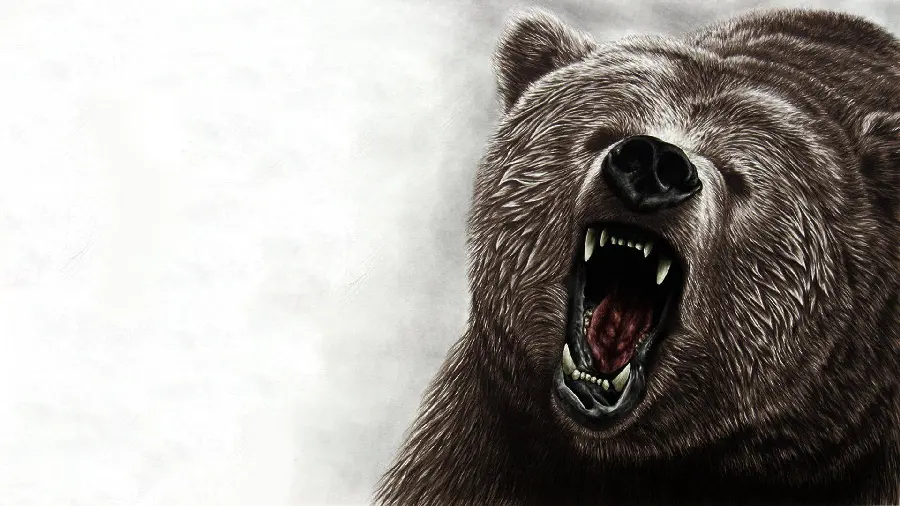 Angry Scary Bear Wallpaper with Light Background HD