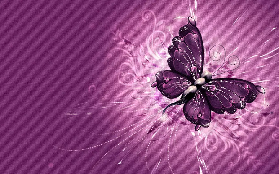 Amazing photo of a purple butterfly with excellent quality 