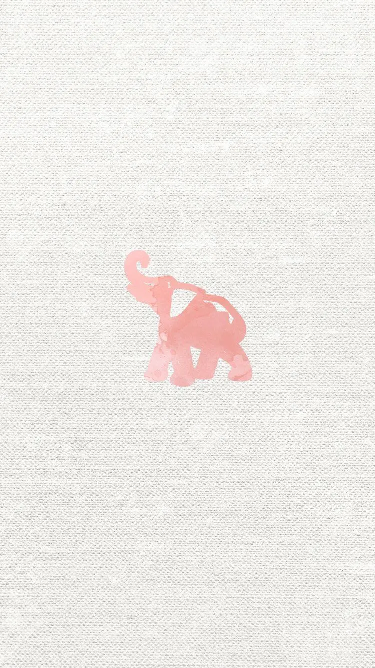 Pink Elephant Photo for Graphic Design