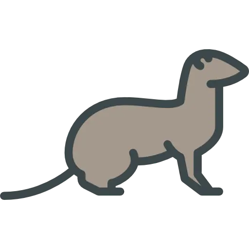 Download otter drawing wallpaper PNG completely free
